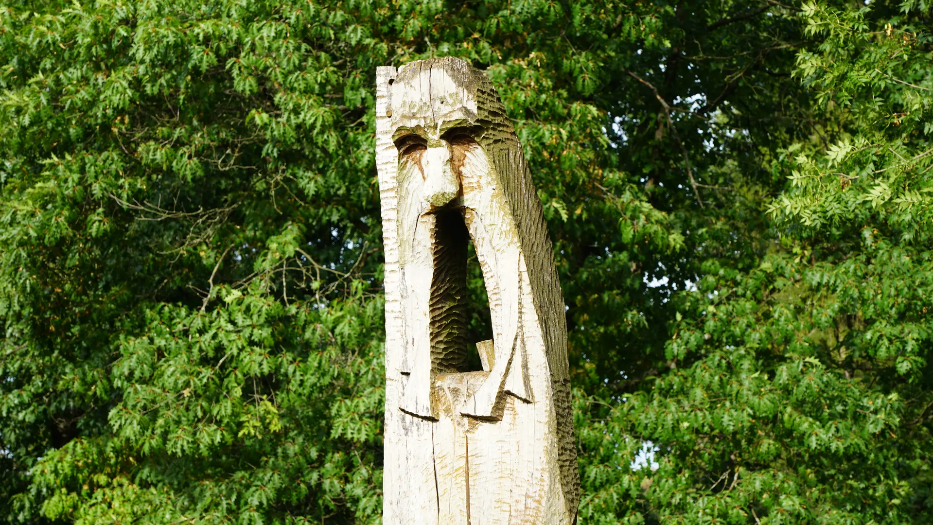 DSC00138.webp